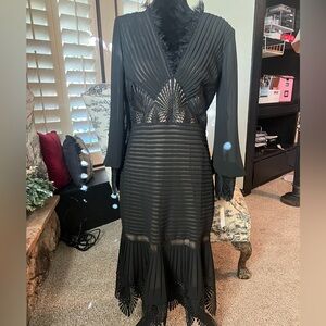 Tadashi Shoji GORGEOUS evening dress